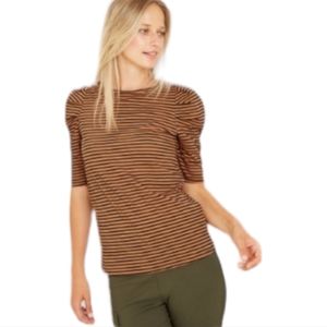 Who What Wear Women's Boat Neck Knit Top, Brown/Black, XXL